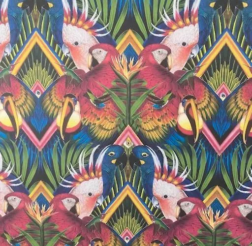 Picasso - Spacious In Old Town